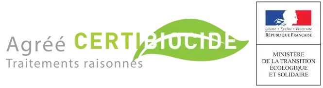Logo Item